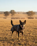 Swanndri Oilskin Wool Lined Dog Coat (SW13902)