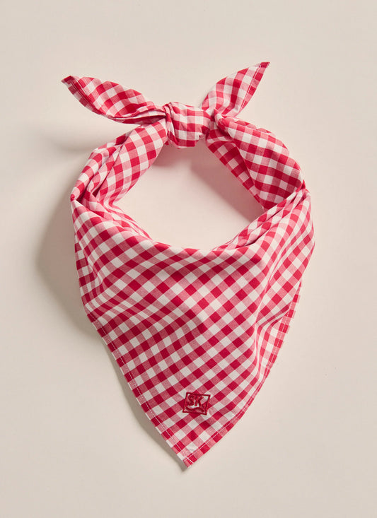 Napier Bandana - Red