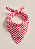 Napier Bandana - Red