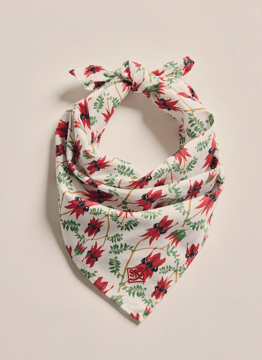 Parachilna Bandana - Red