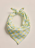 Parachilna Bandana - Sky Blue