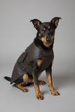 Swanndri Oilskin Wool Lined Dog Coat (SW13902)