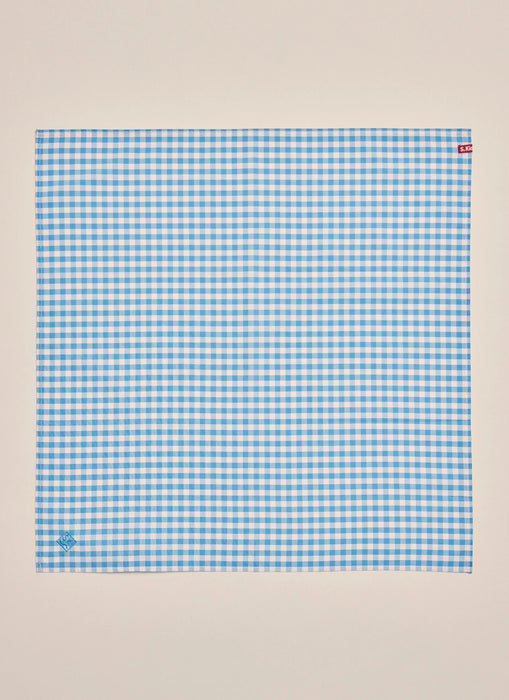 Napier Bandana - Pale Blue