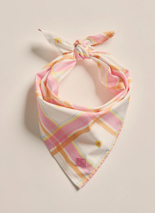Parachilna Bandana - Pale Pink
