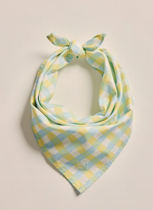 Parachilna Bandana - Sky Blue