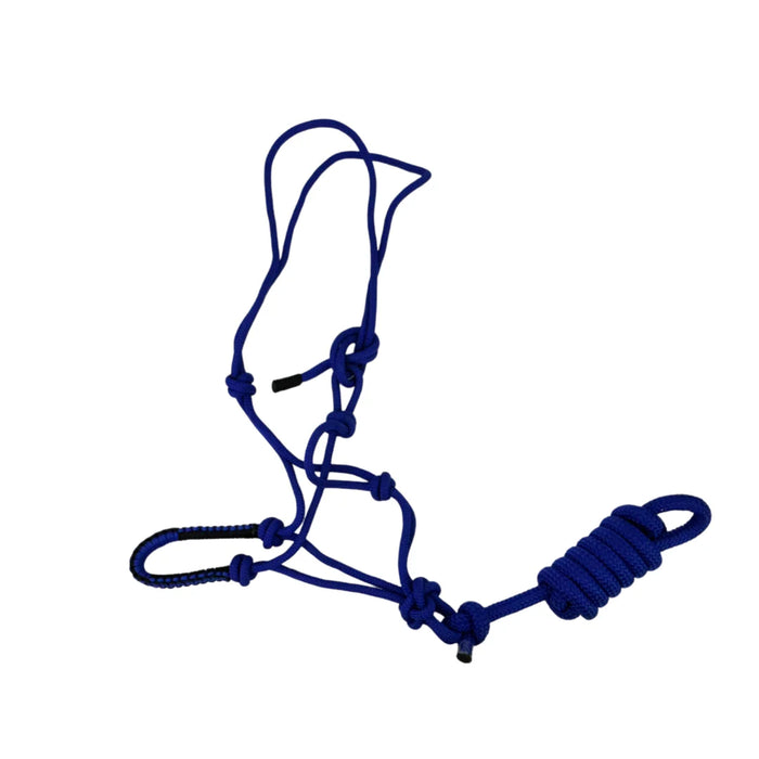 Dolan Rope Halter with Matching Lead – Blue/Black or Purple/Pink (DE523)