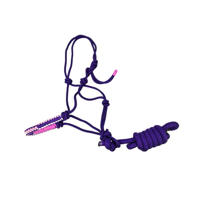 Dolan Rope Halter with Matching Lead – Blue/Black or Purple/Pink (DE523)