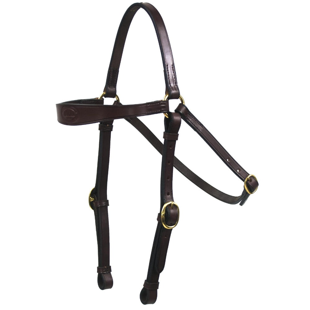 Close-up of Shaped Barcoo leather bridle craftsmanship