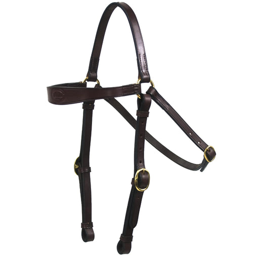 Close-up of Shaped Barcoo leather bridle craftsmanship
