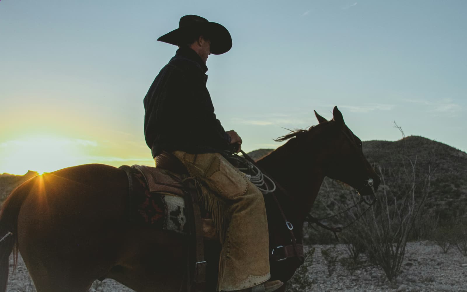 A young male campdrafter is riding his horse in a desert landscape at sunset