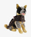 Oilskin dog coat on stuffed dog model 