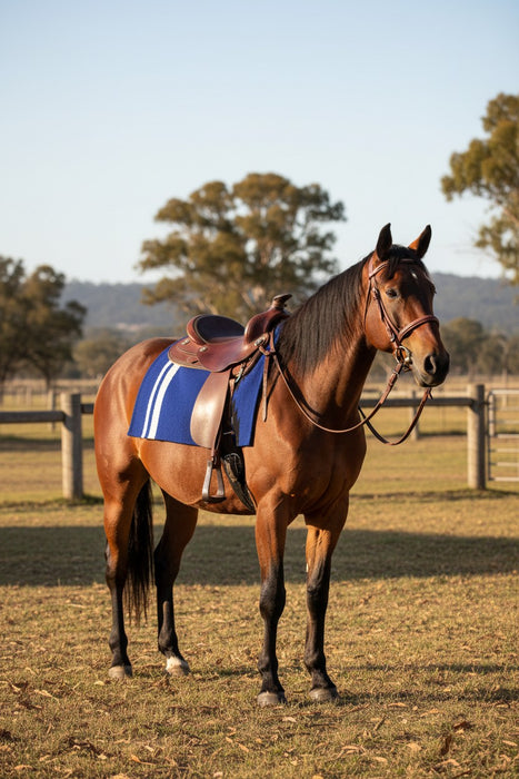Dolan Navajo Wool Saddle Blanket 34″x36″ (DE565)